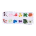 thumbnail image 2 of 12 Colores de Flores Secas de Uñas 3D de Uñas para Puntas Decoración de Manicura - Flor de Flor de cinco hojas, 2 of 9