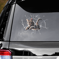 Lotusprinthandmade Cat Transparent Vinyl Decal (14x14 Inches), Cat Car Decal
