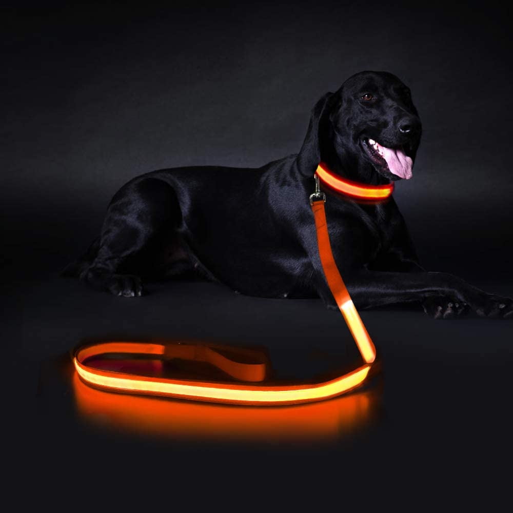 lighted dog leash