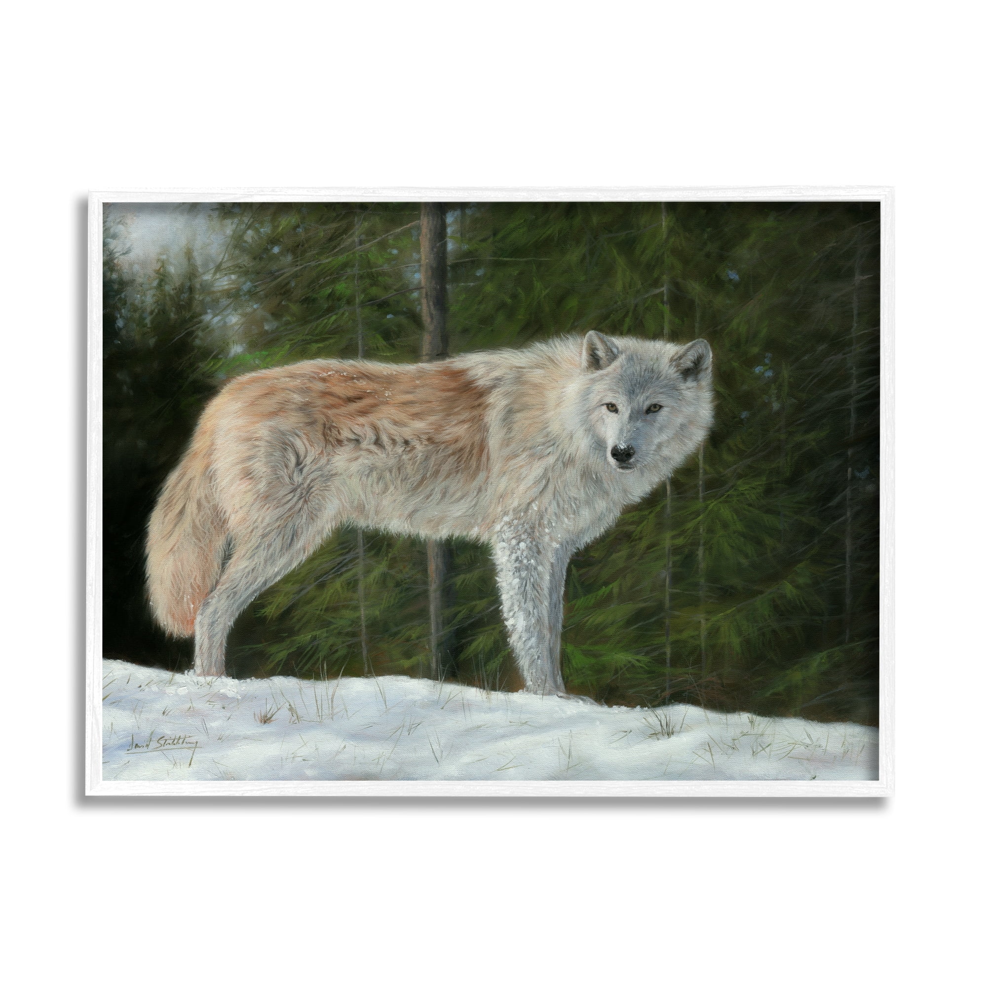 Stupell Industries Wild Coyote Wolf Gazing Snowy Forest Clearing Painting White Framed Art Print Wall Art, Design by David Stribbling
