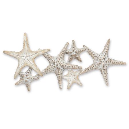 Abbott Collections AB-27-STARFISH-090 23 in. Starfish Family Wall Decor  Beige