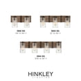 thumbnail image 3 of Hinkley Lighting - Two Light Bath - Sawyer - 2 Light Bath Vanity in Rustic Style, 3 of 10