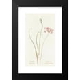 thumbnail image 2 of Margaret Armstrong 15x24 Black Modern Framed Museum Art Print Titled - Wild Onion (1915), 2 of 5