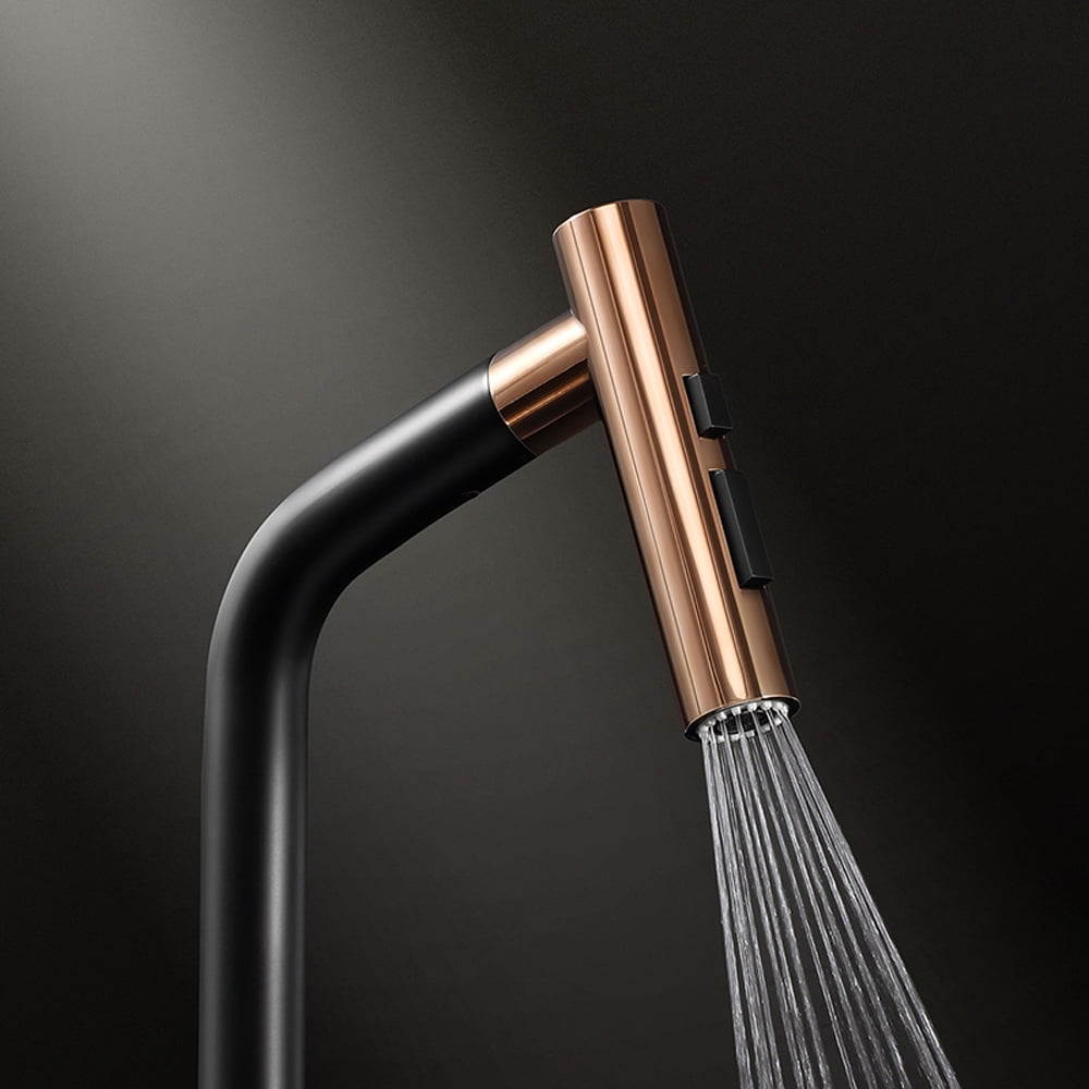 HIGOLD IF Award BN1.0 Single Handle Pull Down Kitchen Faucet, Brushed Nickel Finished
