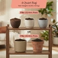 thumbnail image 6 of Rosy Soil Cactus and Succulent Potting Soil Mix, Organic Fast Draining Soil with Biochar, Peat Free Soil for Healthy Roots, Cacti, Succulents, 4 qt, 6 of 10