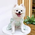 thumbnail image 5 of Pet Dog Dresses Dogs Puppy Birthday Wedding Clothes Spring Summer Princess Pet Dresses Girl Female Doggie Tutu Skirt Apparel for Chihuahua Yorkies Cat Outfit, 5 of 9