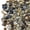 20LB, variant on 40LB Coarse Sand, Colored Rocks Pebbles, Quartz Sand for Cactus Bonsai, Succulent Plant Bonsai Paving, Vase Filling Decoration, Natural Sand for Fish Tank Decoration Paving(2-4mm)