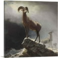 thumbnail image 1 of ARTCANVAS Rocky Mountain Big Horn Sheep 1884 Canvas Art Print by Albert Bierstadt - Size: 18" x 18" (1.50" Deep), 1 of 9