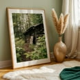 thumbnail image 6 of Forest Log Cabin - Alaska Photography Rustic Forest Woodland Nature Wilderness Rural Unframed Wall Art Print 8 x 12 inches, 6 of 60