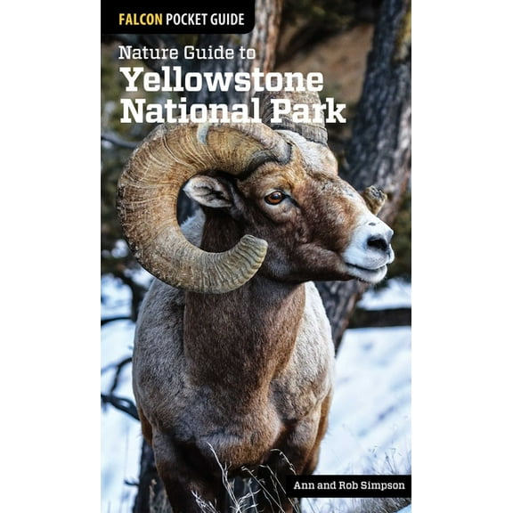Nature Guides to National Parks Nature Guide to Yellowstone National Park, (Paperback)