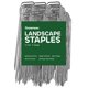 thumbnail image 1 of Grapas para Jardinería GROWNEER de Acero Galvanizado 11 Gauge de 12" Paquete de 100, 1 of 9