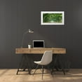 thumbnail image 3 of McLoughlin, James 18x11 White Modern Wood Framed Museum Art Print Titled - Canopy Road Panorama VI, 3 of 4