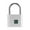 silver, variant on Aodebiao Fingerprint Smart Padlock Lock, Biometric Metal Keyless Thumbprint Lock, Waterproof, USB Rechargeable, for Gym Locker, School Locker, Luggage, Backpack, Suitcase