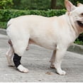 thumbnail image 6 of Black Lightweight Breathable for Small,Middle,Large Dog Protective Case Dog Leg Brace Dog Leg Wrap Dog Support Brace Pet Knee Pads S, 6 of 8
