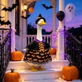 thumbnail image 4 of Hvmvliv Halloween Witch Porch Goose Outfit Set with Hat and Cloak for 23 Inch Lawn Ornament Garden Outdoor Holiday Decor, 4 of 7