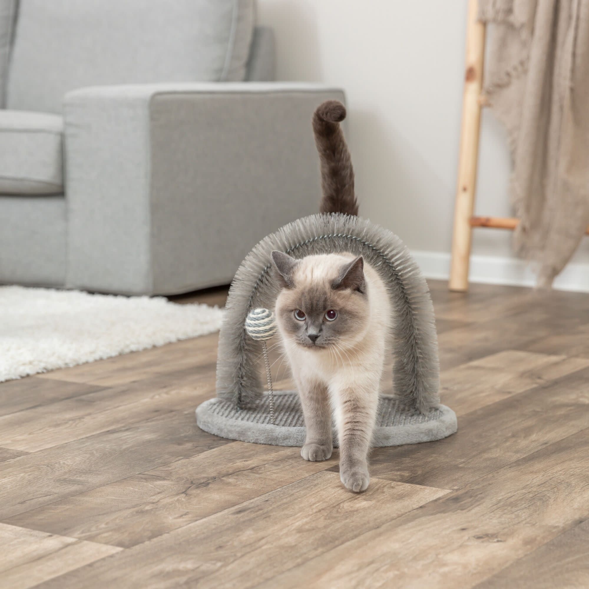 TRIXIE Scratching Plate with Brush Cat Scratcher & Self Groomer, Supports Healthy Claws and Coat