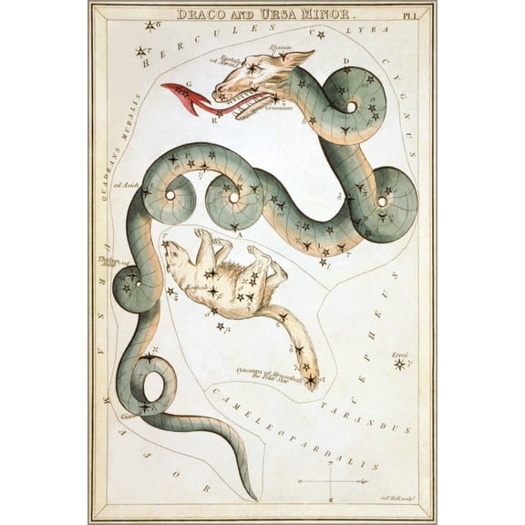 24"x36" Gallery Poster, Draco & Ursa Minor constellation astronomy astrology map 1825