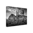 thumbnail image 3 of Trademark Fine Art David Drost Black And White Desert View I Canvas Wall Art - 35x47, 3 of 5