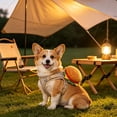 thumbnail image 7 of Adjustable Pet Vest Harness and Leash Set with Cute Hamburger Decor, Breathable Walking Vest for Small Dogs and Cats,Small, 7 of 7