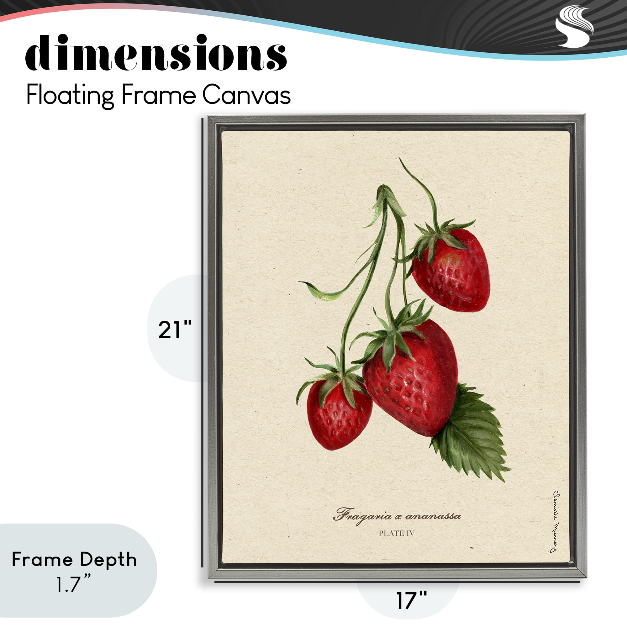 Stupell Industries Strawberry Fruit Portrait Gray Framed Floater Canvas Wall Art, design by Danielle Murray