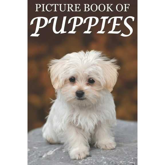 Pre-Owned Picture Book of Puppies: Picture Book of Puppies: For Seniors with Dementia [Cute Picture Books] (Paperback) 1689370211 9781689370219