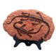thumbnail image 2 of Gwong Decoración hogareña Dinosaurio Fósil Figurine Fácil limpieza encantadora plástica dinosaurio fósil estatua para regalo Gwong 21061049, 2 of 6
