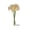 #0871-Beige, variant on Cheapark Daffodil Flower Bouquet Artificial Floral Bunch 2 Pieces realistic flower bunch for vase tabletop living room home interior tabletop floral arrangement Gift