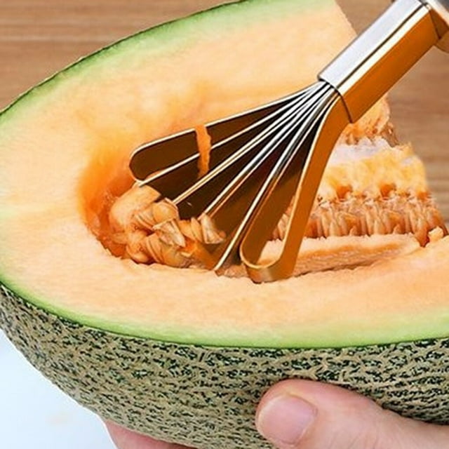 Portable en Acier Inoxydable Noix de Coco Viande Poisson Échelle Outil de Retrait Poisson Échelle Outil Râpe Trancheuse Gadgets de Cuisine