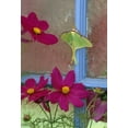 thumbnail image 2 of Rotenberg, Nancy 13x18 White Modern Wood Framed Museum Art Print Titled - PA, Luna moth on old window with cosmos flowers, 2 of 4