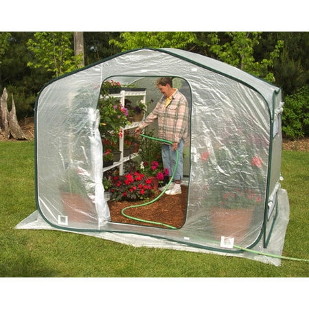 Flowerhouse Dreamhouse 8 Ft. W x 8 Ft. D Polyethylene Greenhouse
