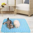 thumbnail image 3 of Tapis Rafraîchissant pour Chien Tapis Rafraîchissant pour Chien Tapis Froid pour Chat Couverture Panier Froid pour Chiens pour l'Été en Matériau Multifonctionnel (Bleu), 3 of 5