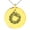 Gold, variant on Stainless Steel Aztec Ouroboros Serpent Rune Engraved Small Medallion Circle Charm Pendant Necklace
