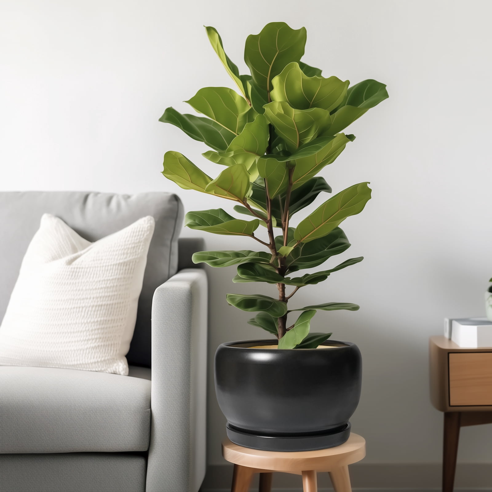 10 inch Pots for Plants, Large Round Ceramic Planter with Saucer & Drainage, Modern Flower Pot for Live Houseplants & Office Decor, Matte Black