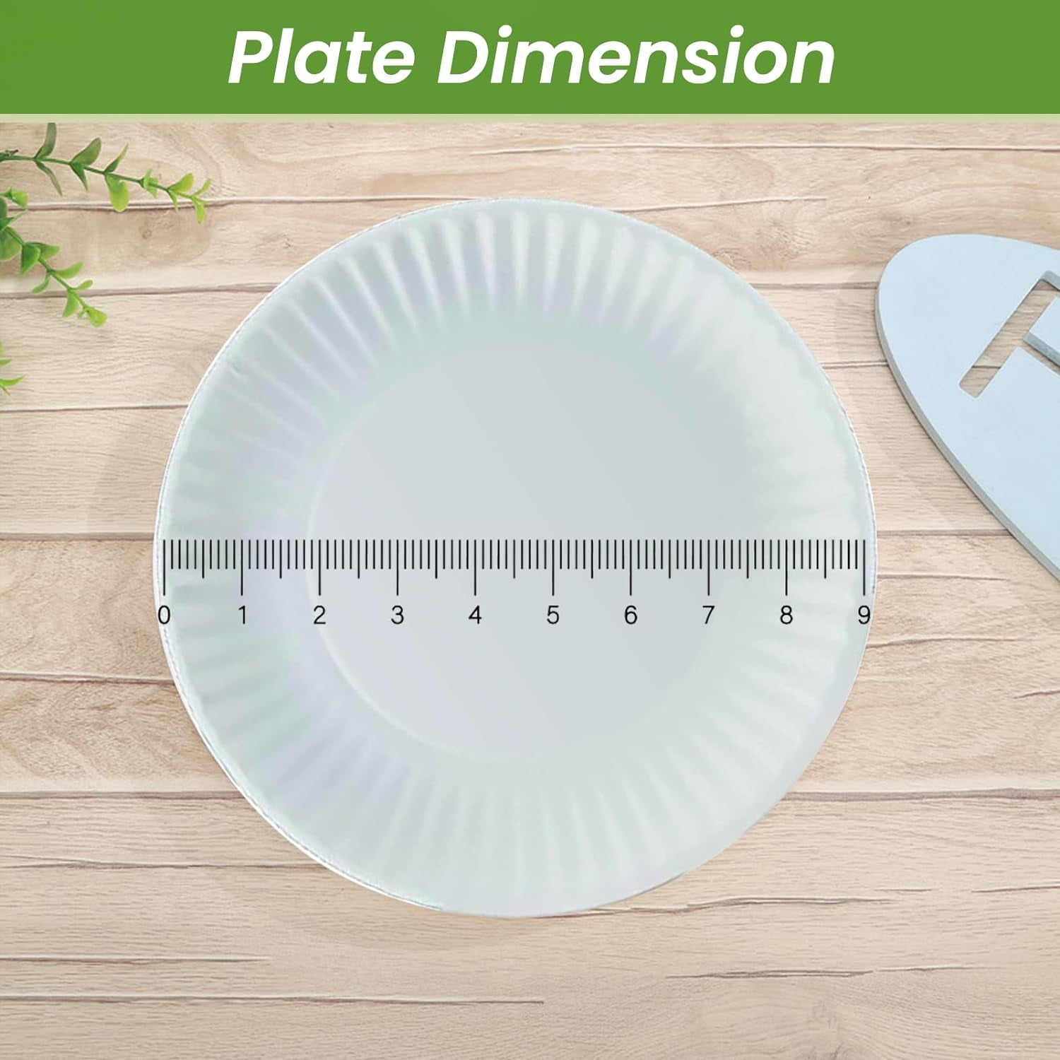 Paper Plate by Kitchen Essentials, 9" (Pack of 300)