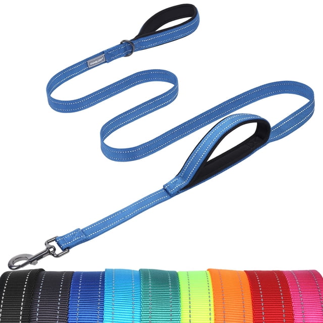 VIVAGLORY Twingrip Dog Leash, Double Handle Dog Leash for Training & Walking with Traffic Handle & 2 Loop, Traffic Control Reflective Heavy Duty for Puppy Pet, 4ft x 1in, Blue