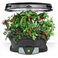MiracleGro AeroGarden Chili Peppers 7Pod Seed Kit