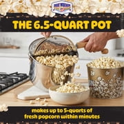 Great Northern Popcorn 6.5-Quart Stainless-Steel Stovetop Popcorn Maker