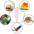 thumbnail image 5 of PEACNNG Parrots Chew Toys 6 Pieces Natural Cuttlefish Bone for Parrots Cage Birds Reptiles Tortoises Snails,10-12cm, 5 of 5