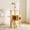 Natural+White-48.8inch, variant on 41.3" Modern Wood Cat Tower - Sisal-Covered Scratching Posts, Top Perch & Acrylic Hammock, Suitable for Small to Large Cats,Natural White
