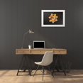 thumbnail image 3 of Bradley, Felicity 14x11 White Modern Wood Framed Museum Art Print Titled - Citrus Drama II, 3 of 4