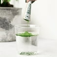thumbnail image 5 of Jade Leaf Matcha, Organic Japanese Ceremonial Matcha, Powdered Tea, 7 Ct, 5 of 7
