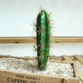 thumbnail image 7 of SPRING PARK Artificial Succulent Cactus Bonsai Greeting Plant Flower Home Desk Decor, 7 of 7