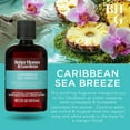 thumbnail image 5 of (3 pack) Better Homes & Gardens Caribbean Sea Breeze Scented Universal Fragrance Oil, 5 fl oz, 5 of 10