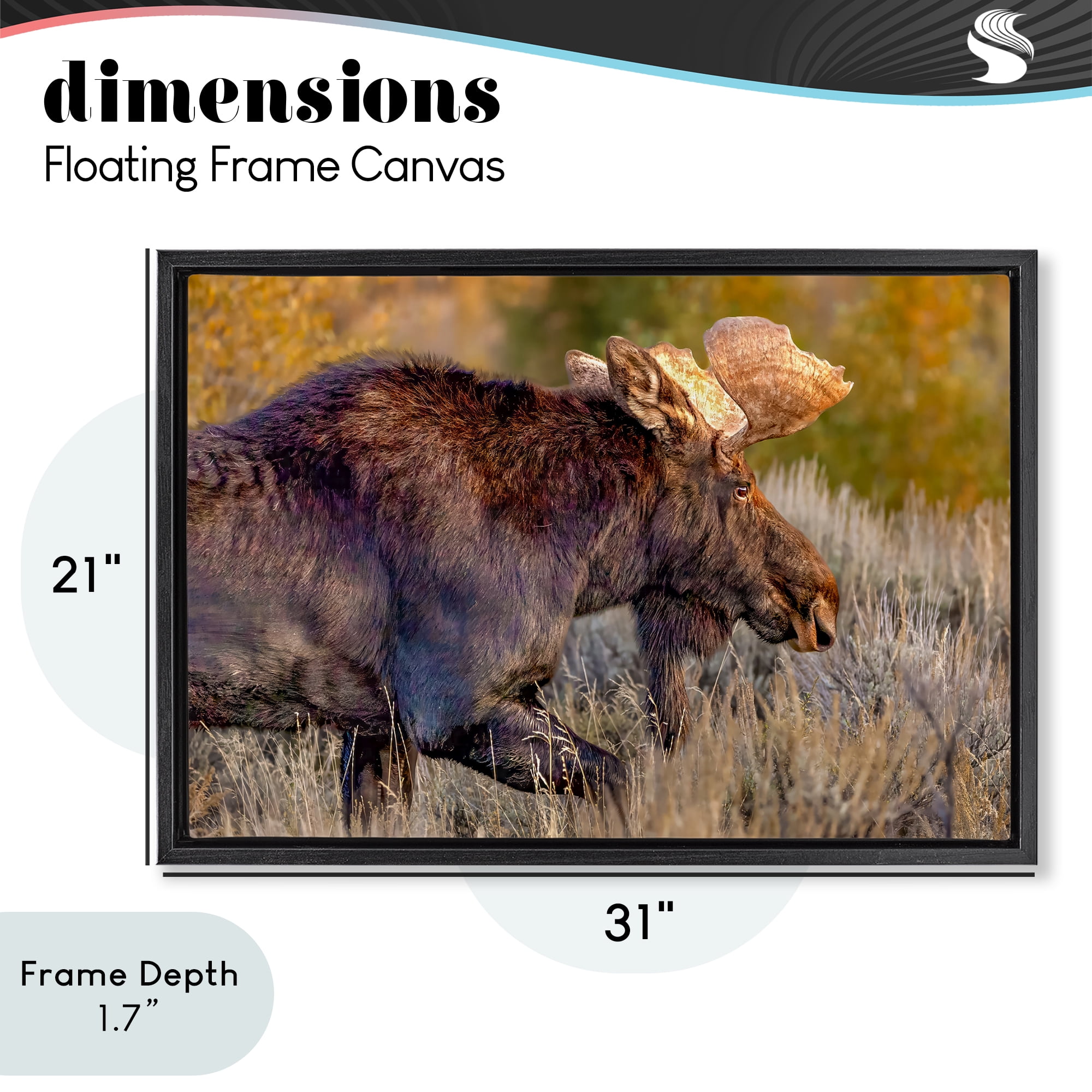 Stupell Industries Bull Moose At Dusk Black Framed Floater Canvas Wall Art, design by Shelley Carlisle