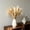 Beige Taille X1, variante sur ZZkhGO Décoration en Fausse Herbe de la Pampa, Queues de Lapin Artificielles Beiges Fleurs Séchées pour Décoration de Table de Maison Bohème de Mariage, Tiges d'Herbe de la Pampa en Soie avec Tige en Métal pour Fête à la Ferme et au Village, Beige
