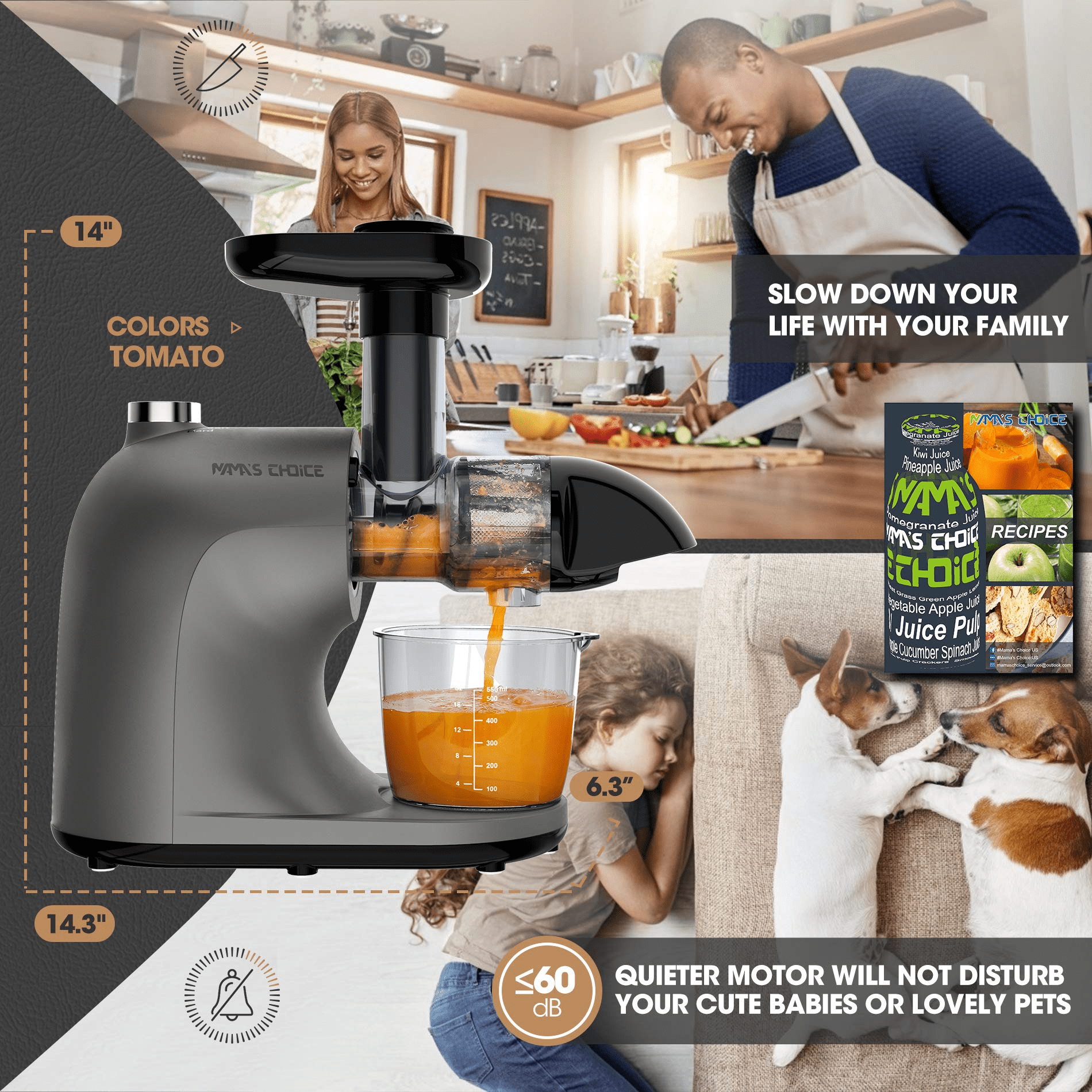  Touch LED Display Masticating Juicer Machines Vegetable and  Fruit, Healnitor Cold Press Slow Juice Extractor Machines with Triple Mode,  Easy to Clean Brush & Quiet Motor, 500ML Travel Bottle, Black 