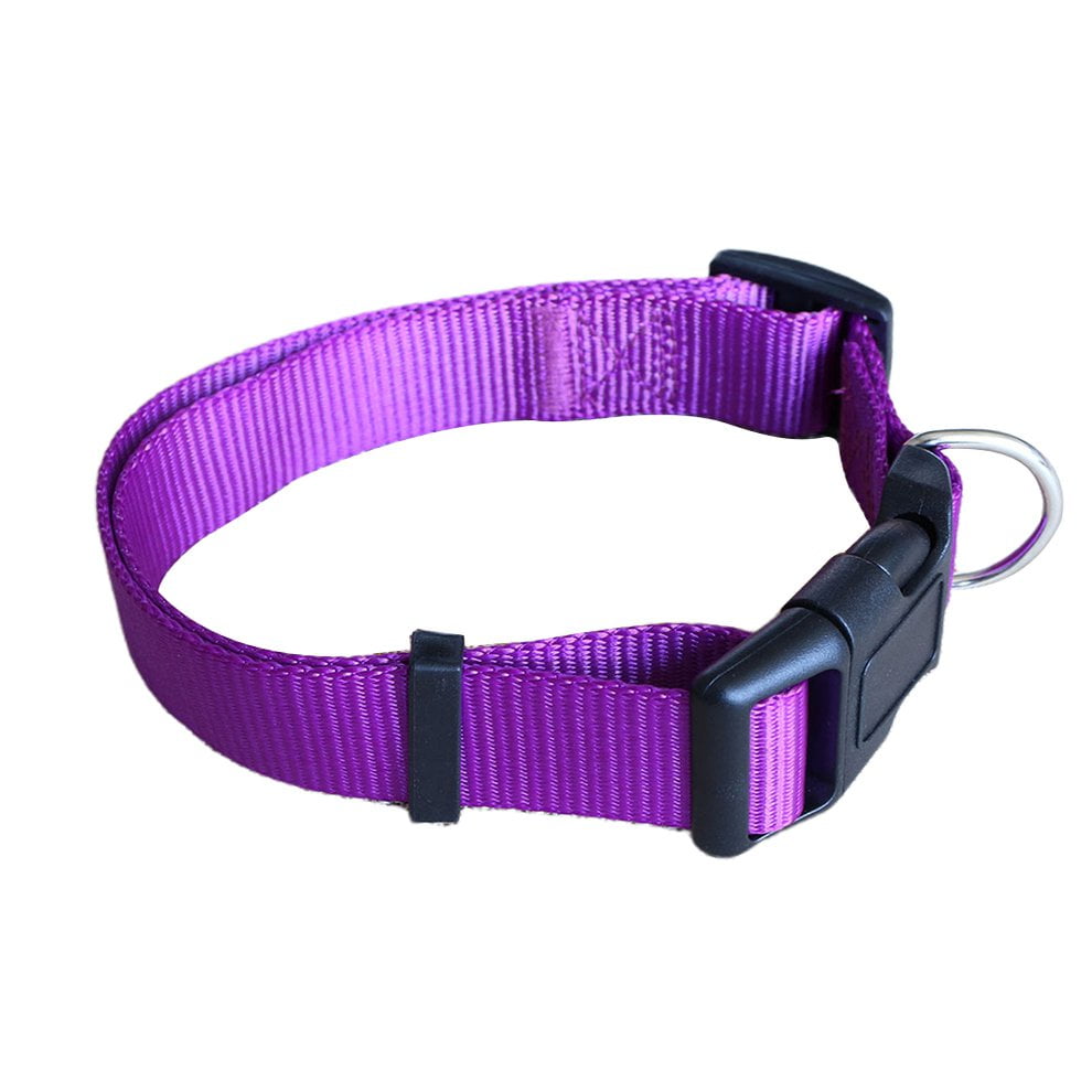 Pet Supplies Dog Chain Plain Nylon Pet Collar Dog Collar Pet Leash Pet