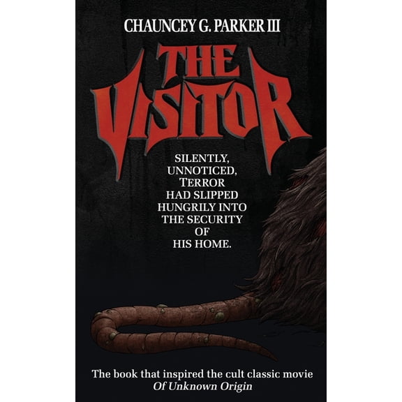 The Visitor, (Paperback)