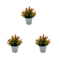 thumbnail image 2 of Maytalsory Elegant For Stylish Home Decor With Fake Flowers And Plants Long-lasting sunset red 3Set, 2 of 6
