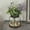 Vase+greenery+light+lavender, variant on Vintglfarmhouse Vase Rustic Lantern Decor With Plants Lavenders Lights Style For Home Flarrangement Housewarming Hostess Gift